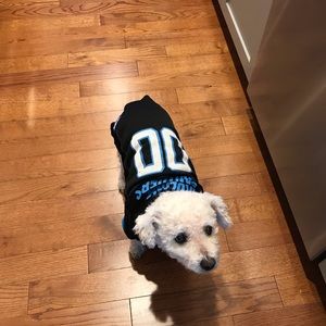 Meet your Posher, Paula